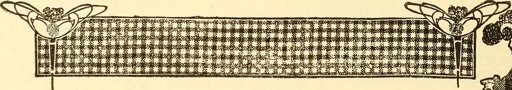 An illustration from How to advertise a retail store, including mail order advertising and general advertising; a complete comprehensive manual for promoting publicity, 1908, leaf 295