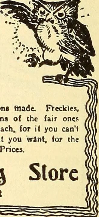 An illustration from How to advertise a retail store, including mail order advertising and general advertising; a complete comprehensive manual for promoting publicity, 1908, leaf 329