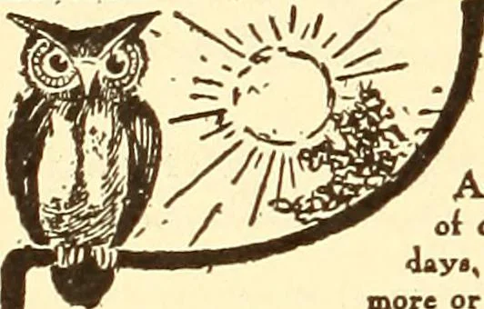 An illustration from How to advertise a retail store, including mail order advertising and general advertising; a complete comprehensive manual for promoting publicity, 1908, leaf 329