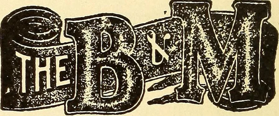 An illustration from How to advertise a retail store, including mail order advertising and general advertising; a complete comprehensive manual for promoting publicity, 1908, leaf 35