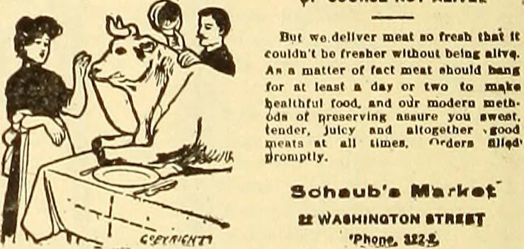 An illustration from How to advertise a retail store, including mail order advertising and general advertising; a complete comprehensive manual for promoting publicity, 1908, leaf 371
