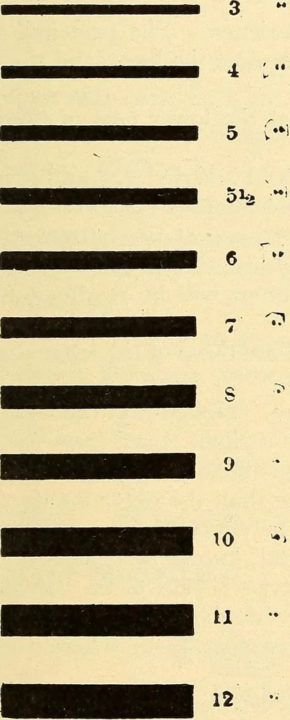 An illustration from How to advertise a retail store, including mail order advertising and general advertising; a complete comprehensive manual for promoting publicity, 1908, leaf 448