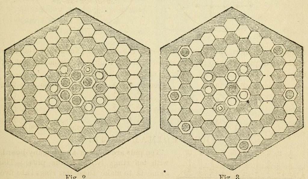 An illustration from How to amuse an evening party : a complete collection of home recreations .., 1869, leaf 35