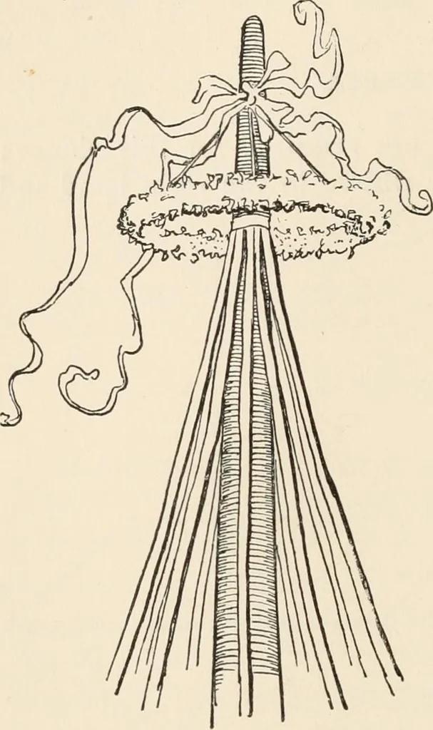 An illustration from How to amuse yourself and others. The American girl's handy book, 1887, leaf 101