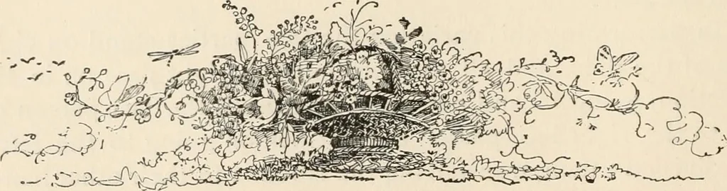 An illustration from How to amuse yourself and others. The American girl's handy book, 1887, leaf 101
