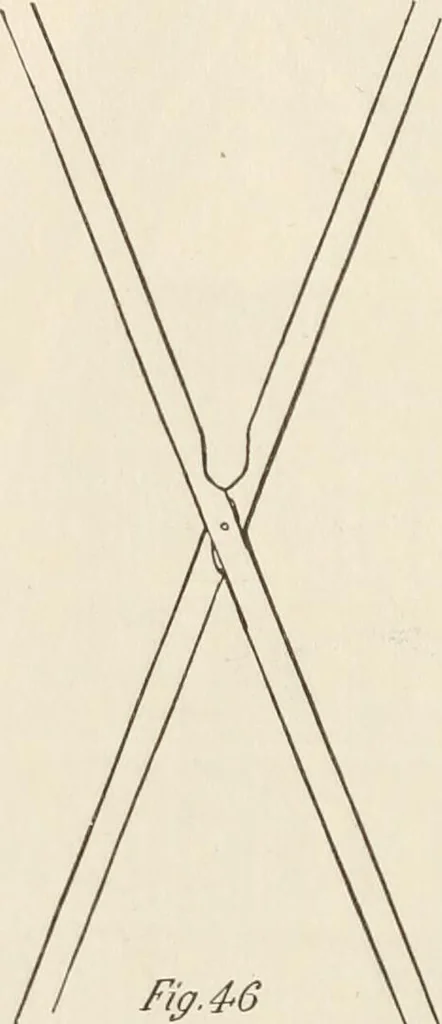 An illustration from How to amuse yourself and others. The American girl's handy book, 1887, leaf 117