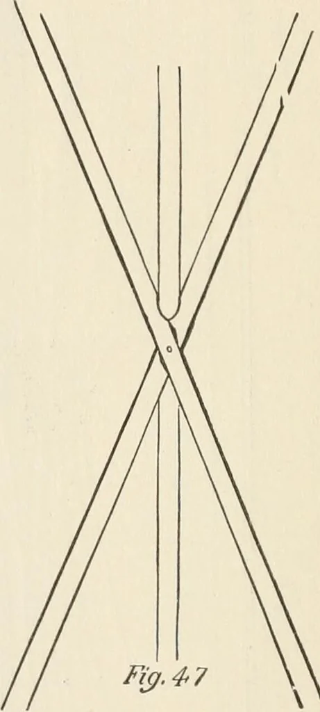 An illustration from How to amuse yourself and others. The American girl's handy book, 1887, leaf 117