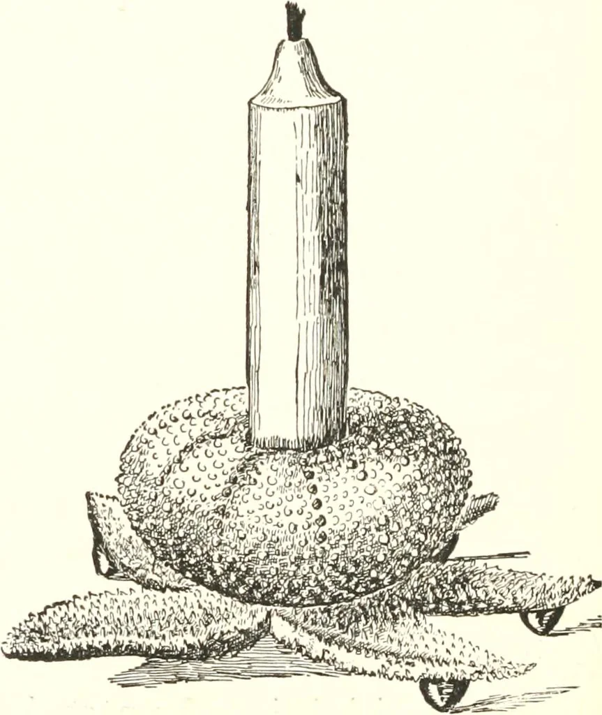 An illustration from How to amuse yourself and others. The American girl's handy book, 1887, leaf 123