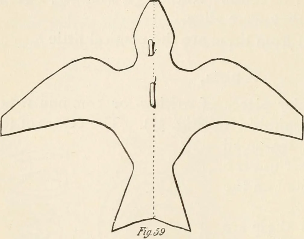 An illustration from How to amuse yourself and others. The American girl's handy book, 1887, leaf 135