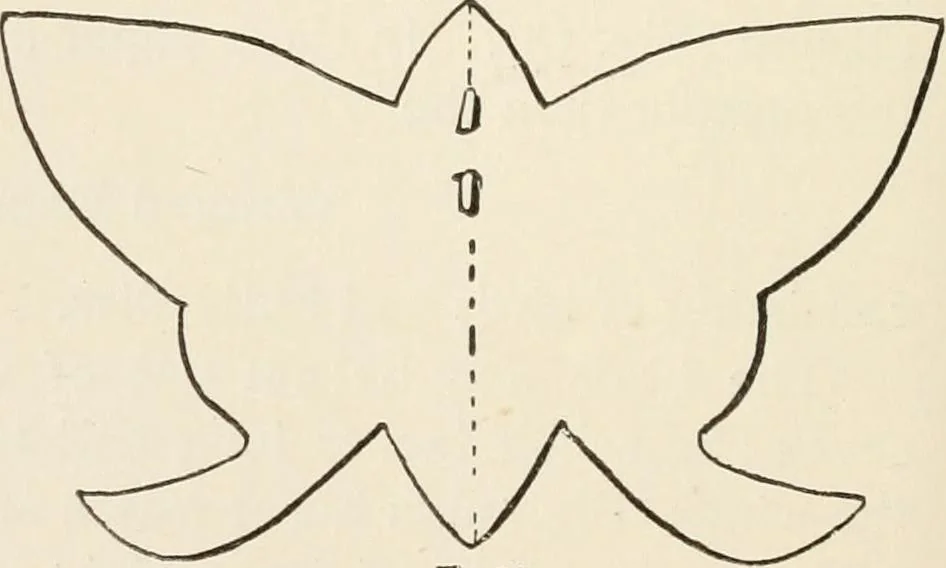 An illustration from How to amuse yourself and others. The American girl's handy book, 1887, leaf 135