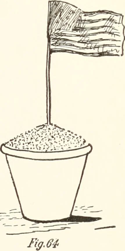 An illustration from How to amuse yourself and others. The American girl's handy book, 1887, leaf 140
