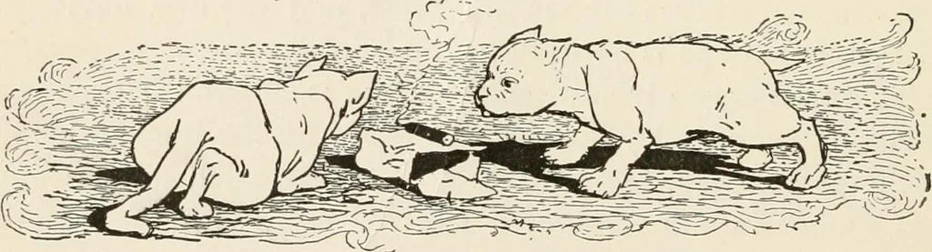 An illustration from How to amuse yourself and others. The American girl's handy book, 1887, leaf 143
