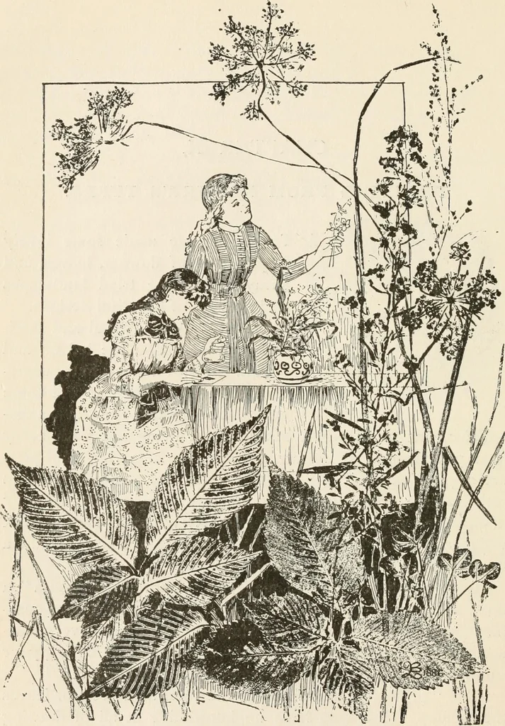 An illustration from How to amuse yourself and others. The American girl's handy book, 1887, leaf 145