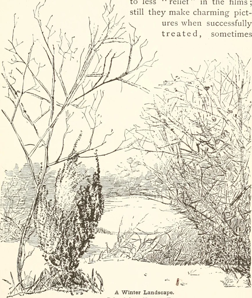 An illustration from How to amuse yourself and others. The American girl's handy book, 1887, leaf 148