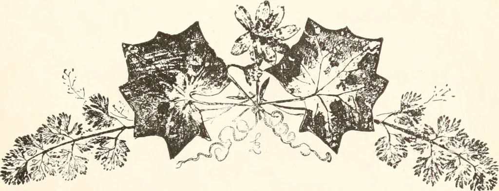 An illustration from How to amuse yourself and others. The American girl's handy book, 1887, leaf 150