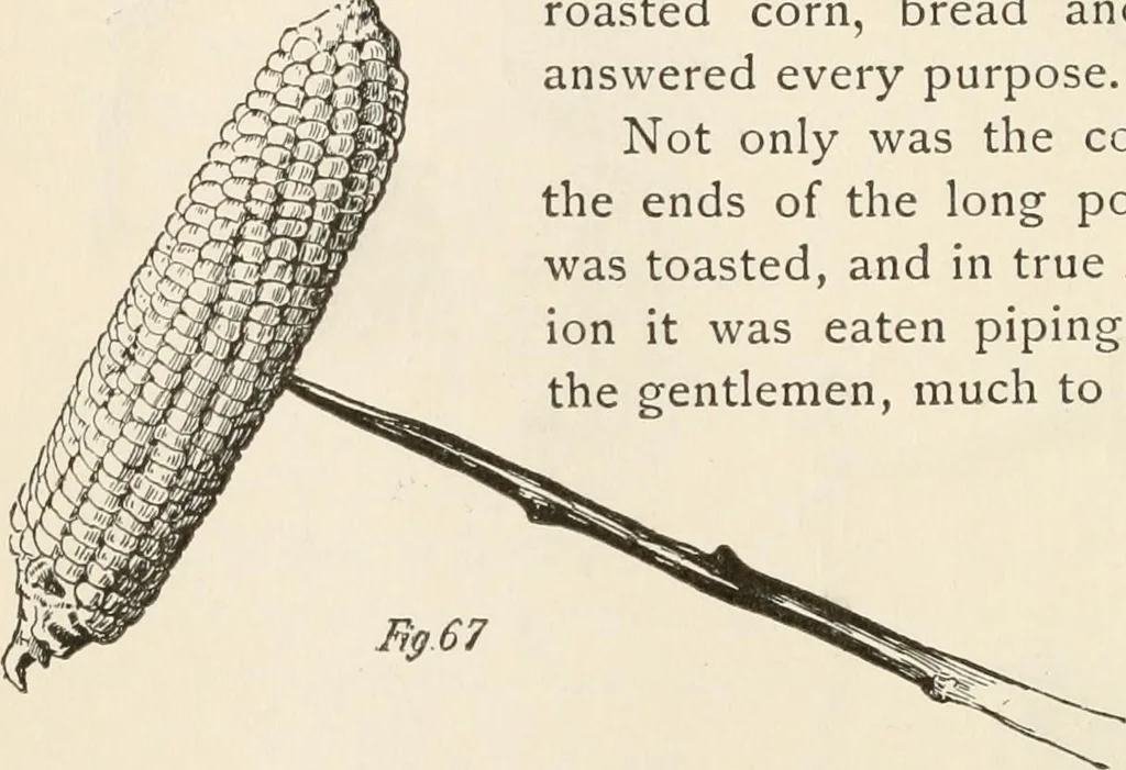 An illustration from How to amuse yourself and others. The American girl's handy book, 1887, leaf 157