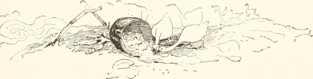 An illustration from How to amuse yourself and others. The American girl's handy book, 1887, leaf 158