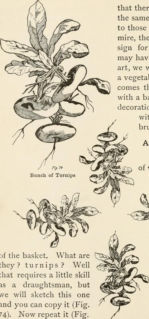 An illustration from How to amuse yourself and others. The American girl's handy book, 1887, leaf 163