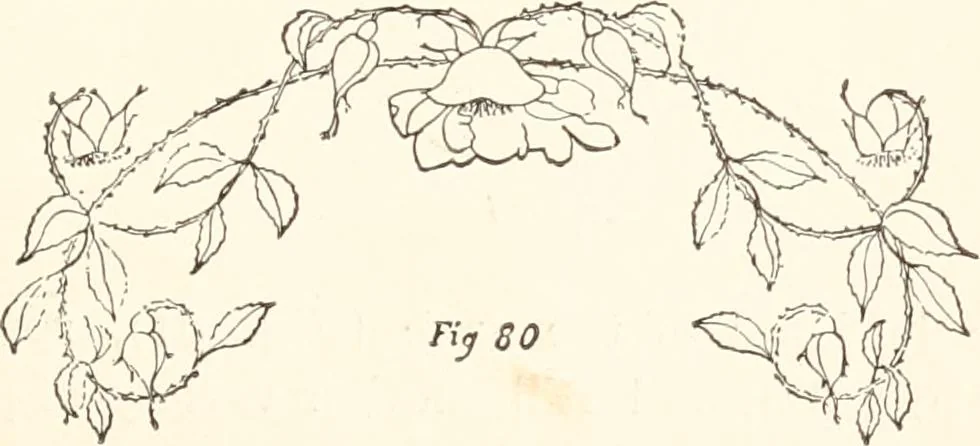 An illustration from How to amuse yourself and others. The American girl's handy book, 1887, leaf 164