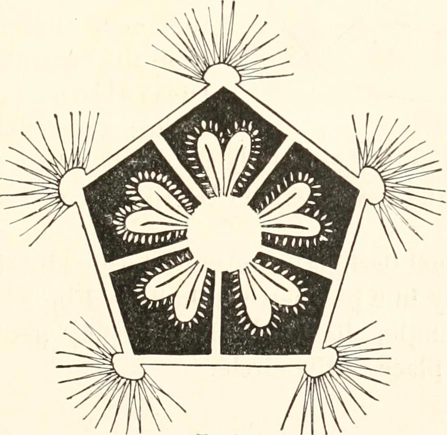 An illustration from How to amuse yourself and others. The American girl's handy book, 1887, leaf 166