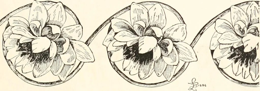 An illustration from How to amuse yourself and others. The American girl's handy book, 1887, leaf 170