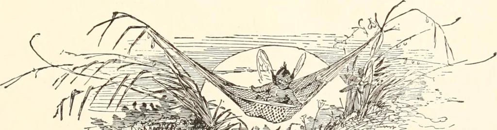 An illustration from How to amuse yourself and others. The American girl's handy book, 1887, leaf 188