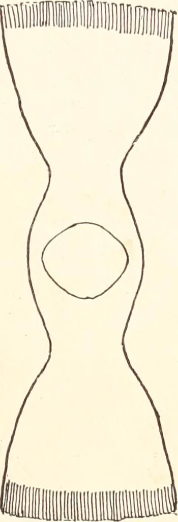 An illustration from How to amuse yourself and others. The American girl's handy book, 1887, leaf 194