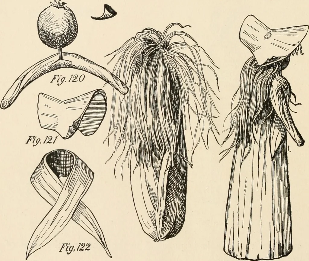 An illustration from How to amuse yourself and others. The American girl's handy book, 1887, leaf 195