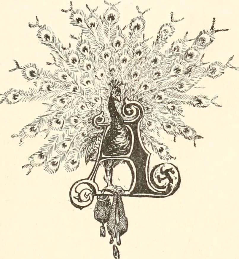 An illustration from How to amuse yourself and others. The American girl's handy book, 1887, leaf 198
