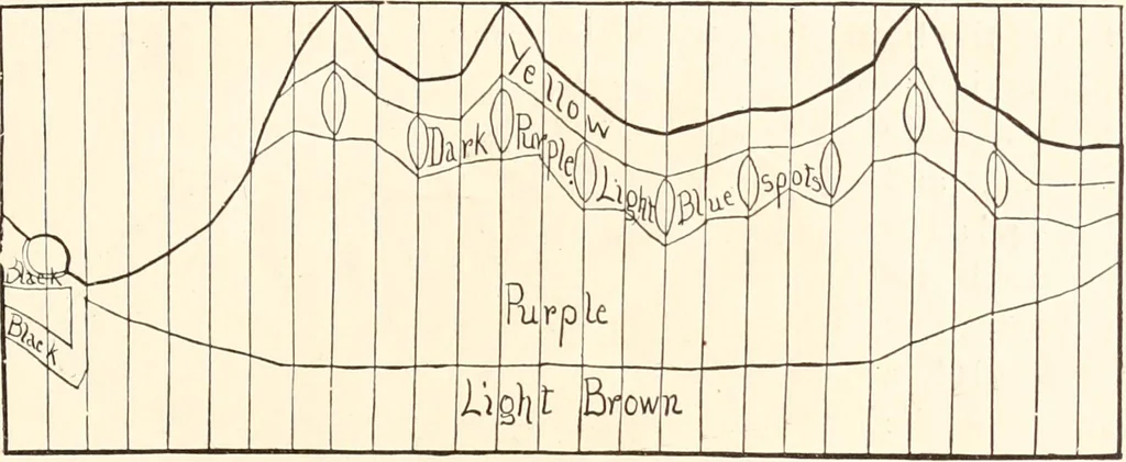 An illustration from How to amuse yourself and others. The American girl's handy book, 1887, leaf 200