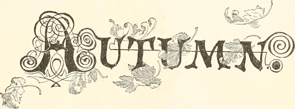 An illustration from How to amuse yourself and others. The American girl's handy book, 1887, leaf 206