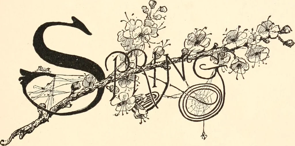 An illustration from How to amuse yourself and others. The American girl's handy book, 1887, leaf 22