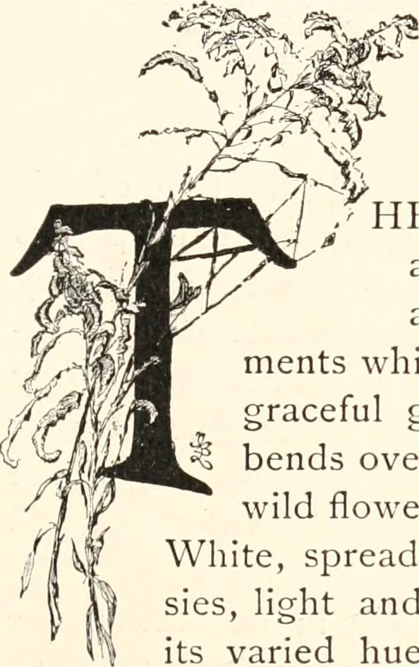 An illustration from How to amuse yourself and others. The American girl's handy book, 1887, leaf 222