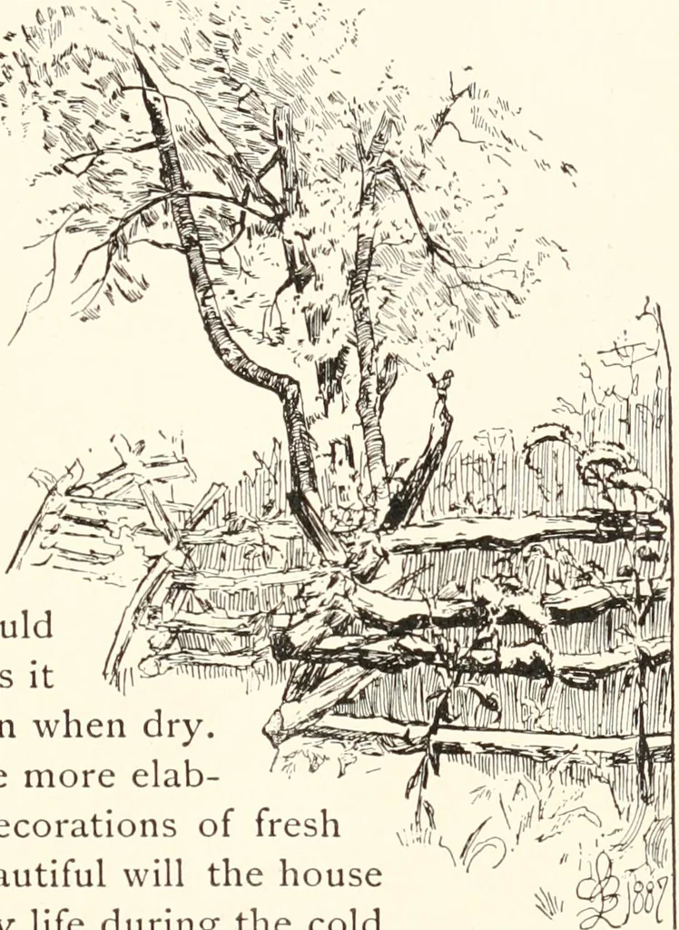 An illustration from How to amuse yourself and others. The American girl's handy book, 1887, leaf 224