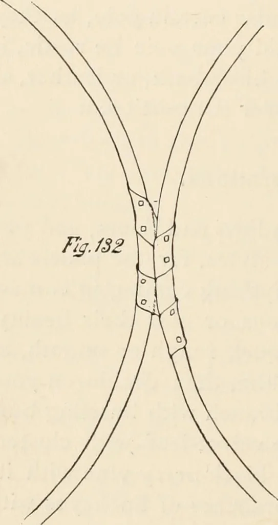 An illustration from How to amuse yourself and others. The American girl's handy book, 1887, leaf 227