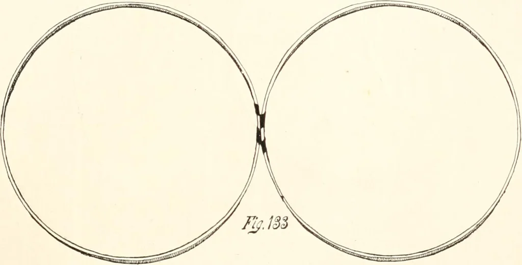 An illustration from How to amuse yourself and others. The American girl's handy book, 1887, leaf 228