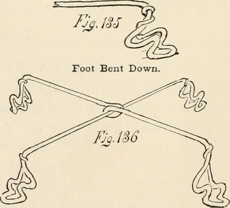 An illustration from How to amuse yourself and others. The American girl's handy book, 1887, leaf 233