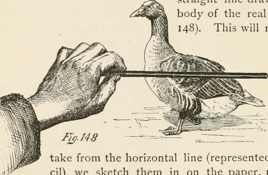 An illustration from How to amuse yourself and others. The American girl's handy book, 1887, leaf 257