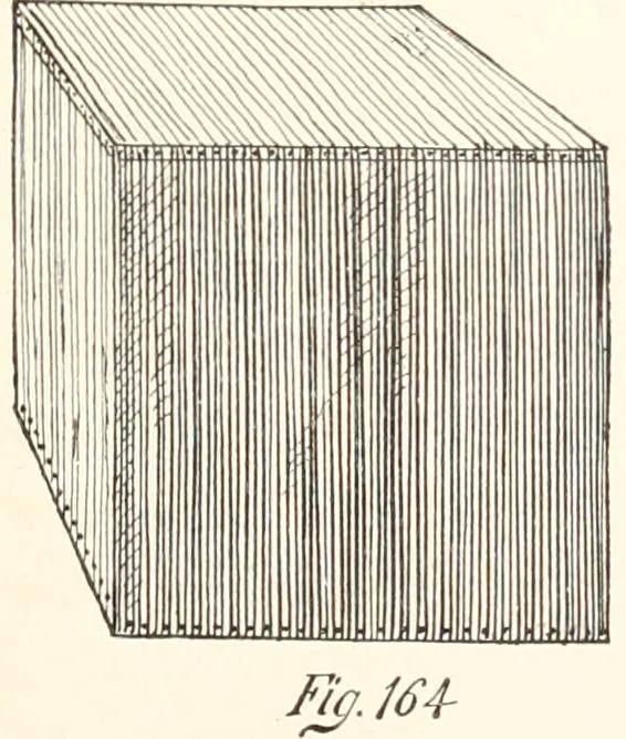 An illustration from How to amuse yourself and others. The American girl's handy book, 1887, leaf 282