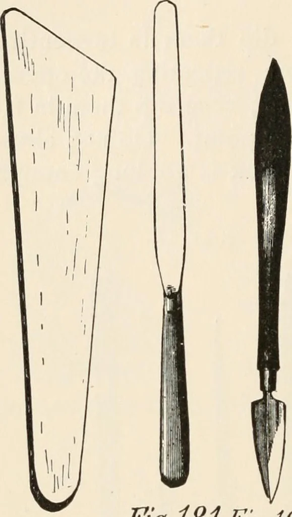 An illustration from How to amuse yourself and others. The American girl's handy book, 1887, leaf 295