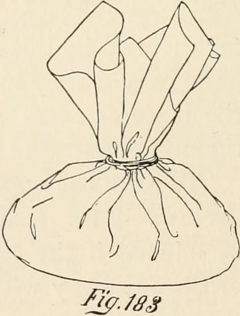 An illustration from How to amuse yourself and others. The American girl's handy book, 1887, leaf 295