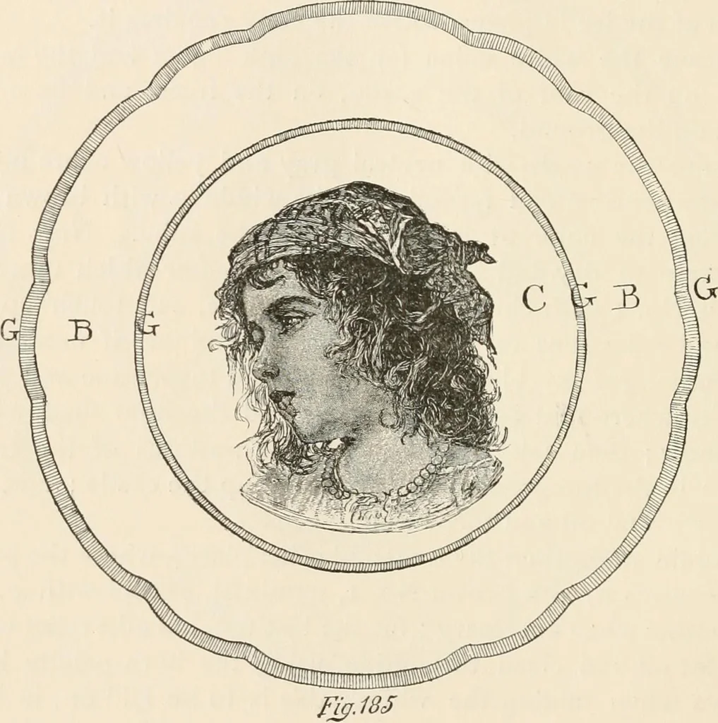 An illustration from How to amuse yourself and others. The American girl's handy book, 1887, leaf 305