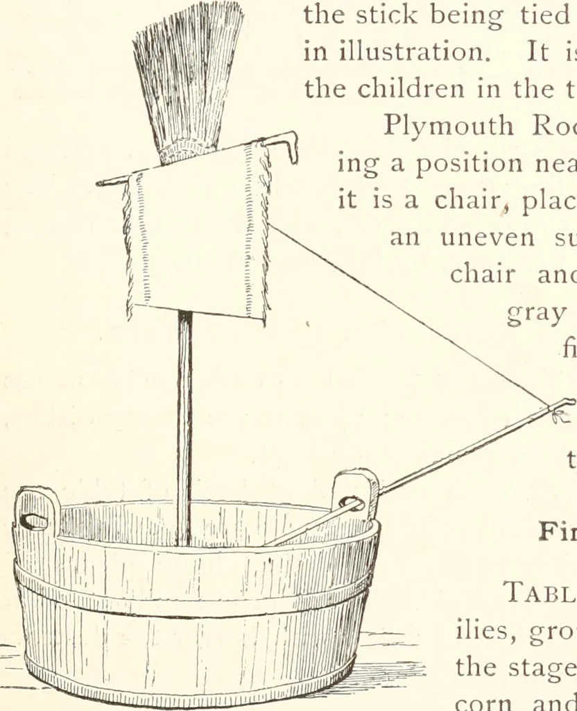 An illustration from How to amuse yourself and others. The American girl's handy book, 1887, leaf 328