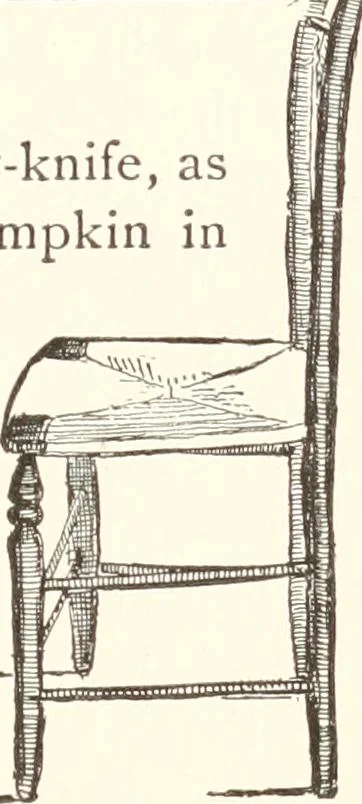 An illustration from How to amuse yourself and others. The American girl's handy book, 1887, leaf 332