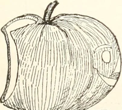 An illustration from How to amuse yourself and others. The American girl's handy book, 1887, leaf 332