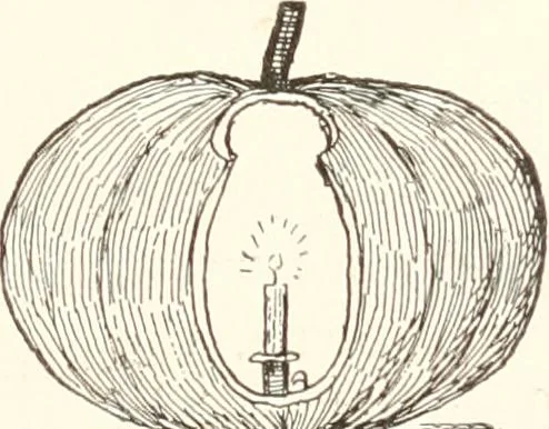An illustration from How to amuse yourself and others. The American girl's handy book, 1887, leaf 332