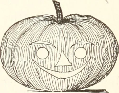 An illustration from How to amuse yourself and others. The American girl's handy book, 1887, leaf 332