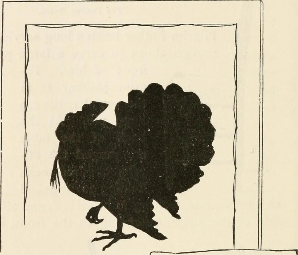 An illustration from How to amuse yourself and others. The American girl's handy book, 1887, leaf 333