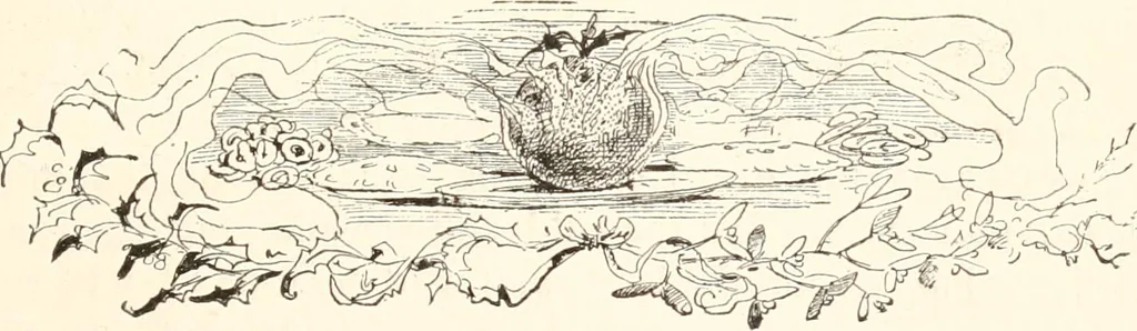 An illustration from How to amuse yourself and others. The American girl's handy book, 1887, leaf 354