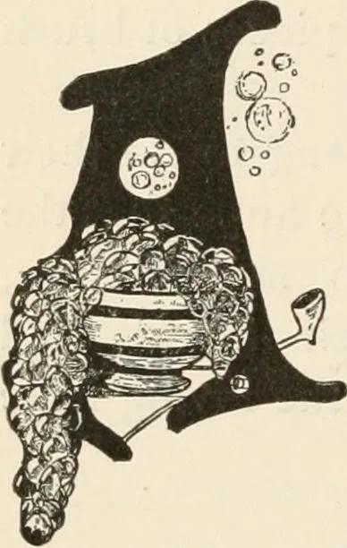 An illustration from How to amuse yourself and others. The American girl's handy book, 1887, leaf 355